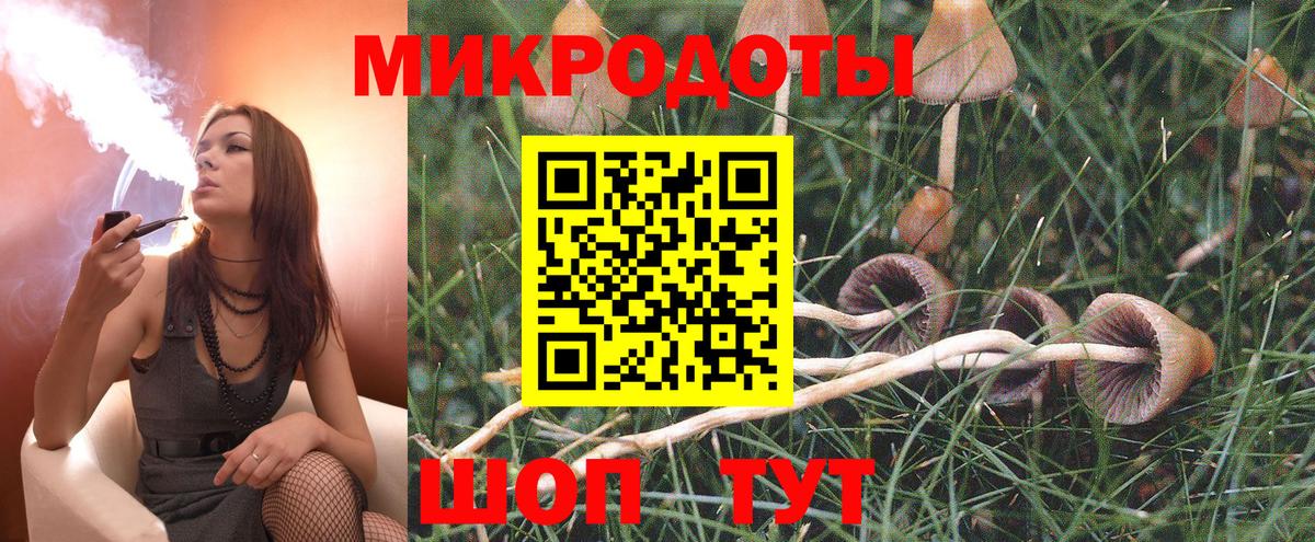 Псилоцибиновые грибы MAGIC MUSHROOMS  Галлюциногенные грибы GOLDEN TEACHER  Бийск  купить   Вход с VPN 
